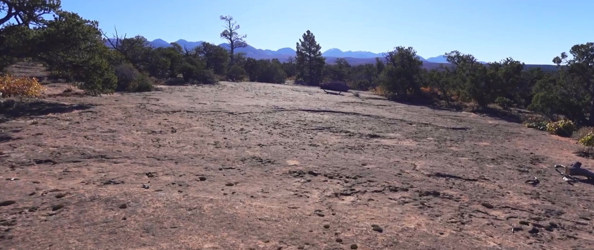 Ground-level view of the exposed slickrock bench, looking out toward distant mountains.